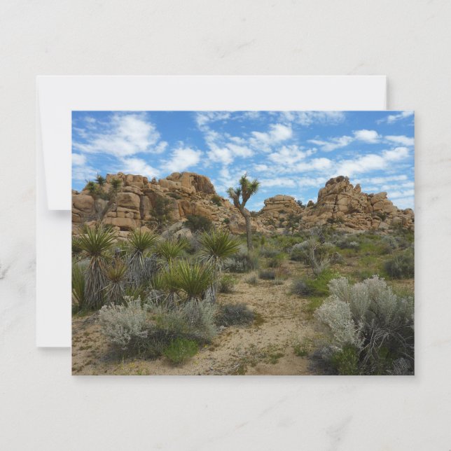 Barker Dam Loop Trail at Joshua Tree National Park (Front)