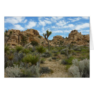 Barker Dam Loop Trail at Joshua Tree National Park