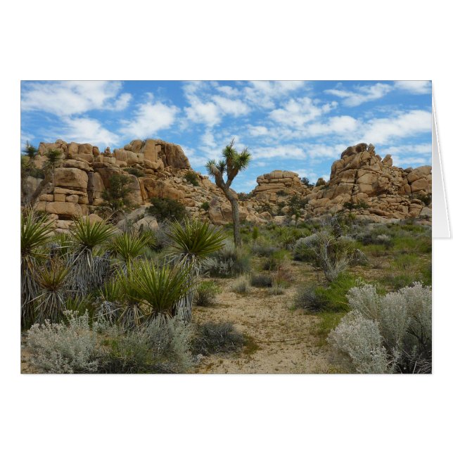 Barker Dam Loop Trail at Joshua Tree National Park (Front Horizontal)