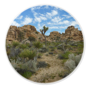 Barker Dam Loop Trail at Joshua Tree National Park Ceramic Knob