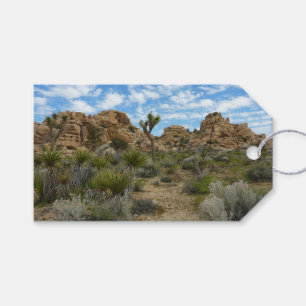 Barker Dam Loop Trail at Joshua Tree National Park Gift Tags