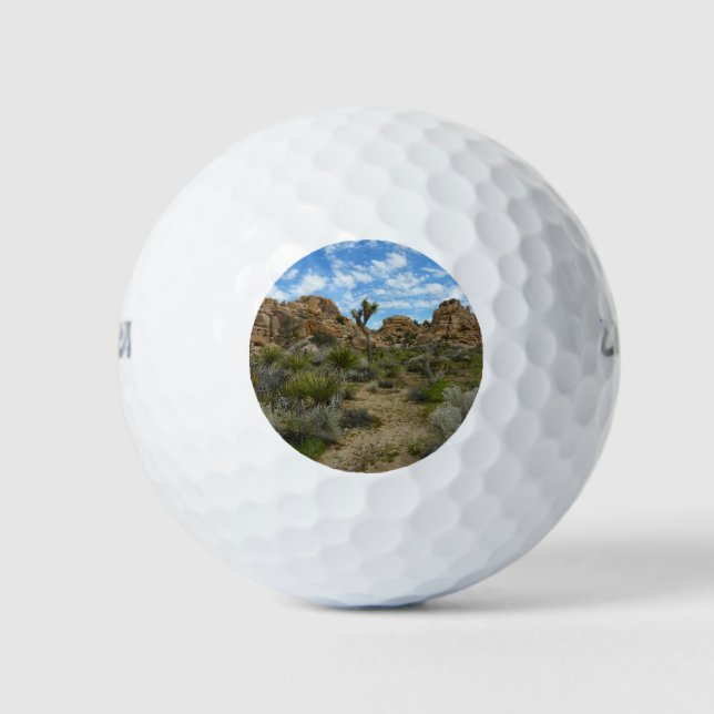 Barker Dam Loop Trail at Joshua Tree National Park Golf Balls (Front)