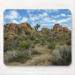 Barker Dam Loop Trail at Joshua Tree National Park Mouse Mat