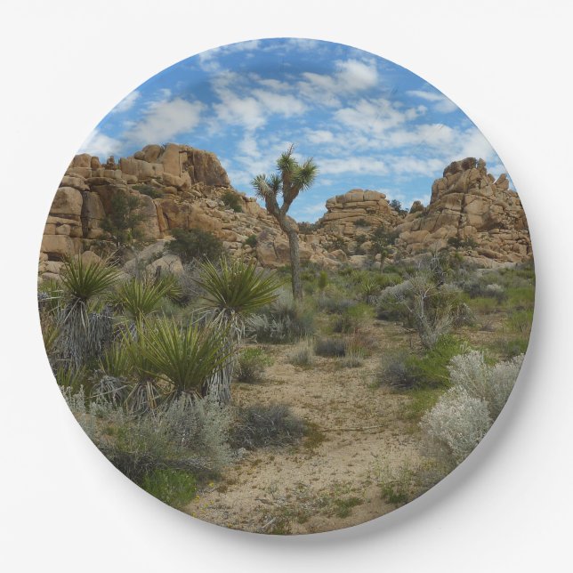 Barker Dam Loop Trail at Joshua Tree National Park Paper Plate (Front)