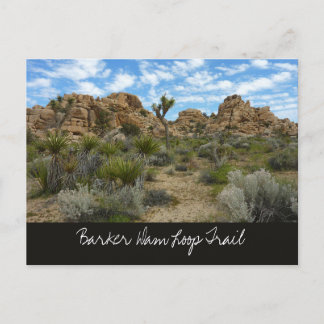 Barker Dam Loop Trail at Joshua Tree National Park Postcard