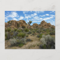Barker Dam Loop Trail at Joshua Tree National Park