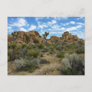 Barker Dam Loop Trail at Joshua Tree National Park Postcard