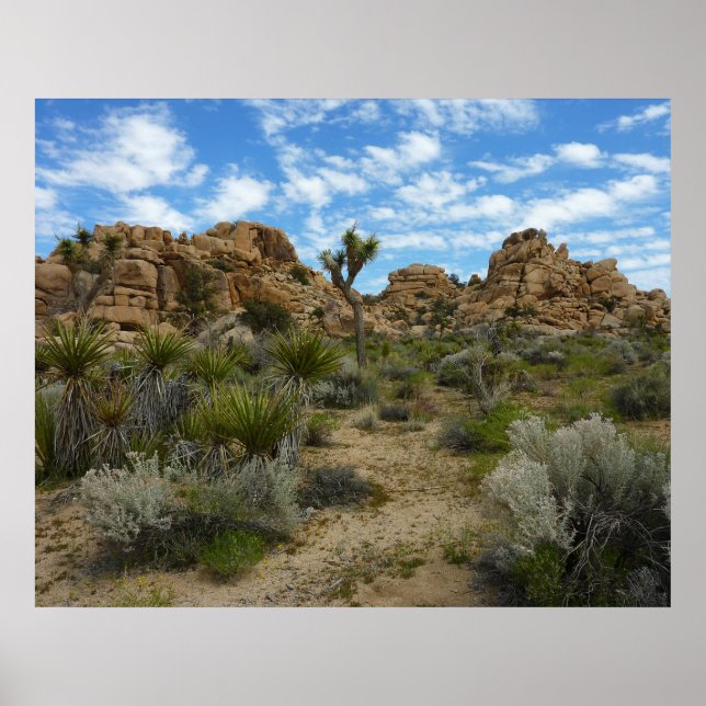 Barker Dam Loop Trail at Joshua Tree National Park Poster (Front)