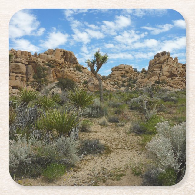 Barker Dam Loop Trail at Joshua Tree National Park Square Paper Coaster (Front)