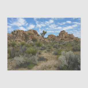 Barker Dam Loop Trail at Joshua Tree National Park Tissue Paper