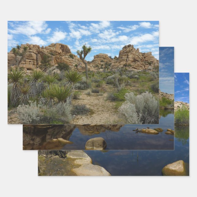 Barker Dam Loop Trail at Joshua Tree National Park Wrapping Paper Sheet (Set)