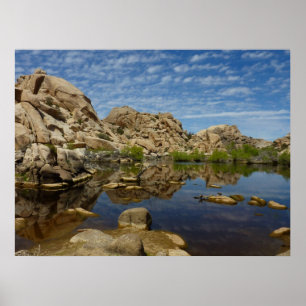 Barker Dam Reflection at Joshua Tree I Poster