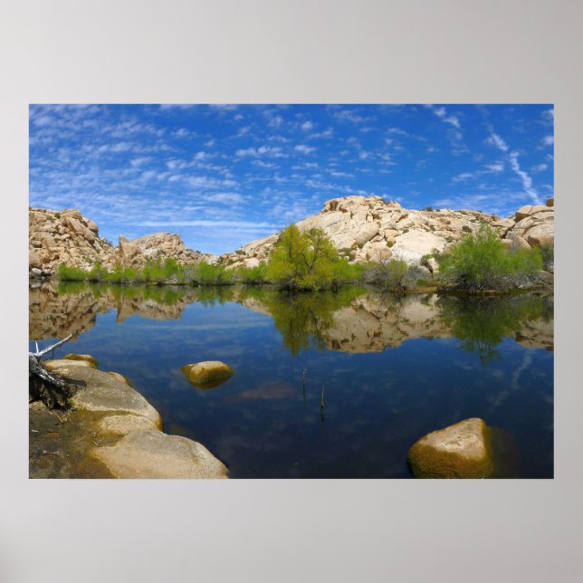 Barker Dam Reflection at Joshua Tree II Poster (Front)