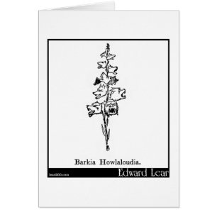 Barkia Howlaloudia.