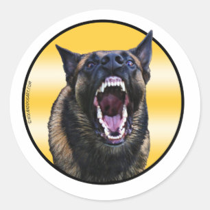 Barking Belgian Malinois "Maligator" Classic Round Sticker