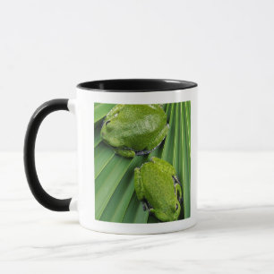Barking Tree Frog (hyla gratiosa) Mug
