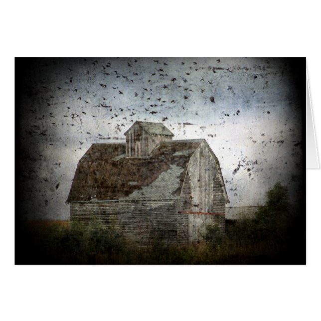 Barn and Birds (Front Horizontal)