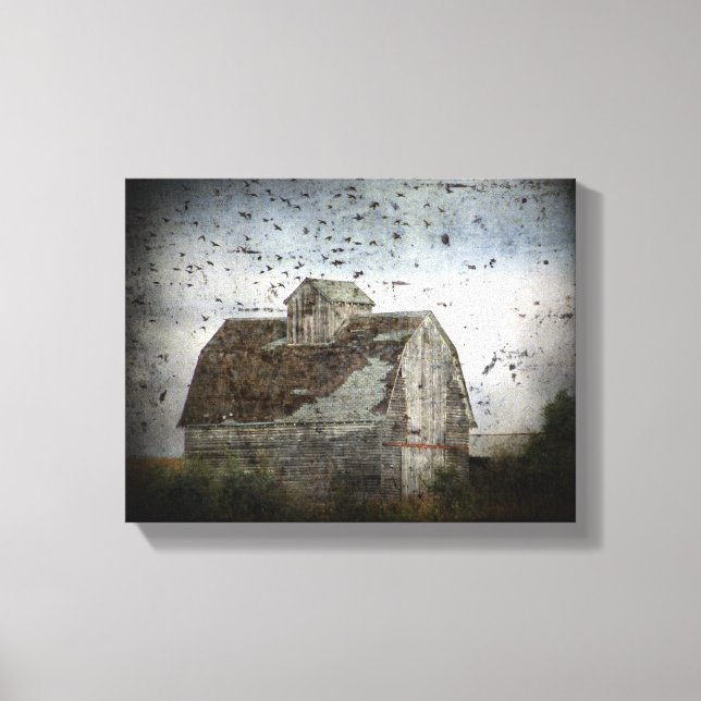 Barn and Birds Canvas Print (Front)