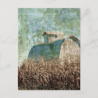 Barn and Corn Field near harvest time Postcard