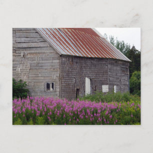 Barn and Wildflowers Postcard