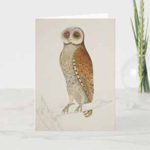 Barn barred owl rustic vintage nature illustration card