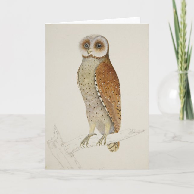 Barn barred owl rustic vintage nature illustration card (Front)