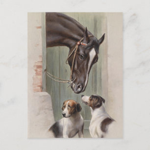 Barn Buddies Postcard