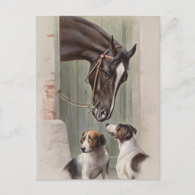 Barn Buddies Postcard (Front)