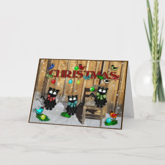 Barn Cat Christmas Holiday Card