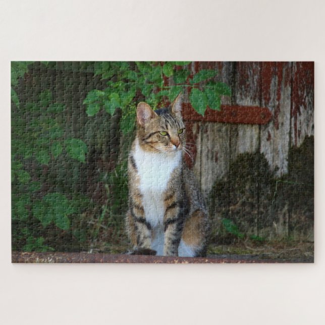barn cat puzzle  (Horizontal)