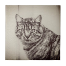 Barn Cat Sepia Brown Animals Ceramic Tile