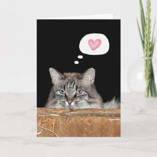 Barn Cat Thinking of You  Card