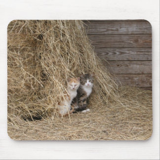 Barn Cats Mouse Mat
