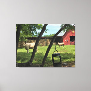 Barn & Cows, Rural North Carolina Canvas Print