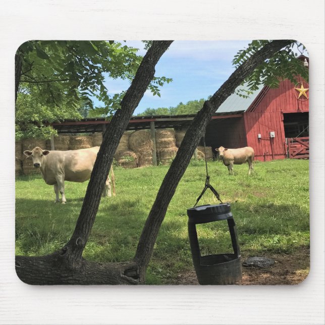 Barn & Cows, Rural North Carolina Canvas Print Mouse Mat (Front)