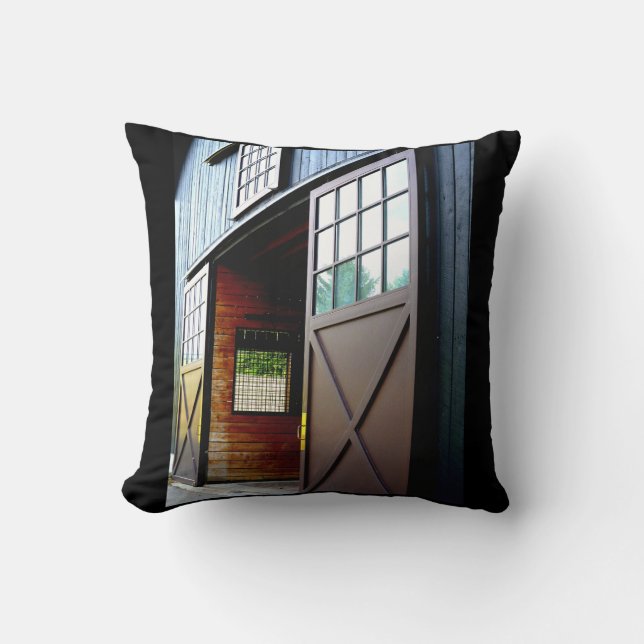Barn Door Perspective Cushion (Front)