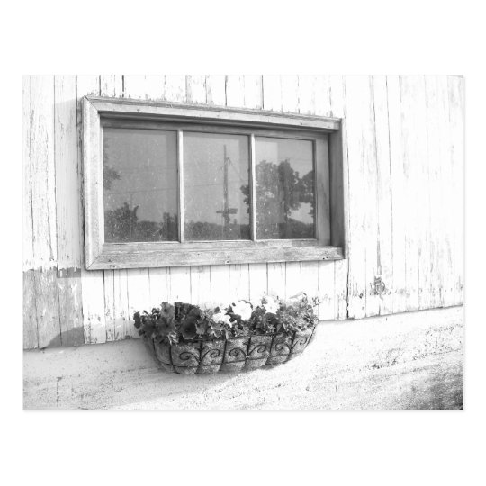 Barn Door Window/Black and White Photography Postcard