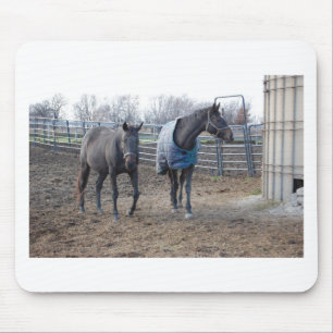 Barn Farm Horse Buddies Mouse Mat