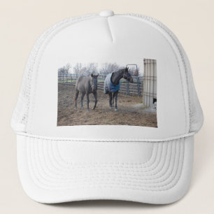 Barn Farm Horse Buddies Trucker Hat