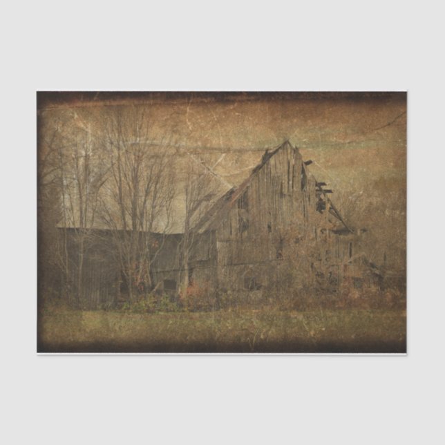 Barn Grunge Texture Sepia Vintage Country Rustic Tissue Paper (Front)