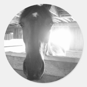 Barn Horse.Black and White Photography Classic Round Sticker