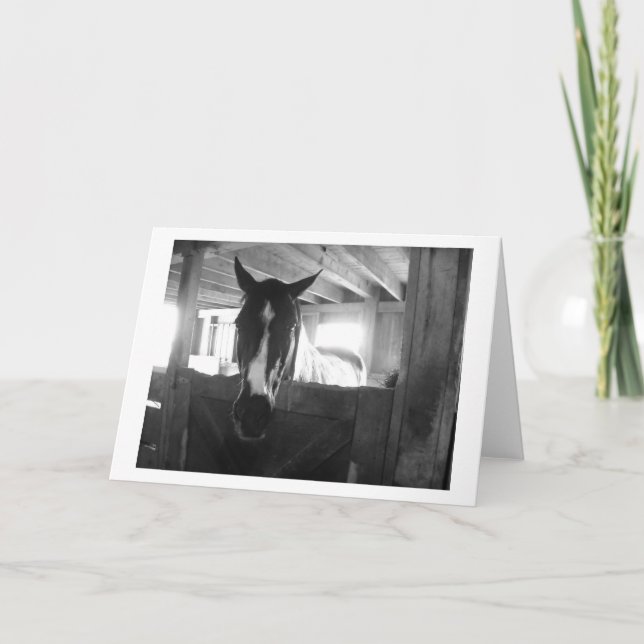 Barn Horse Card (Front)