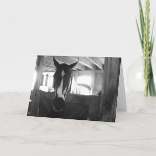 Barn Horse Card