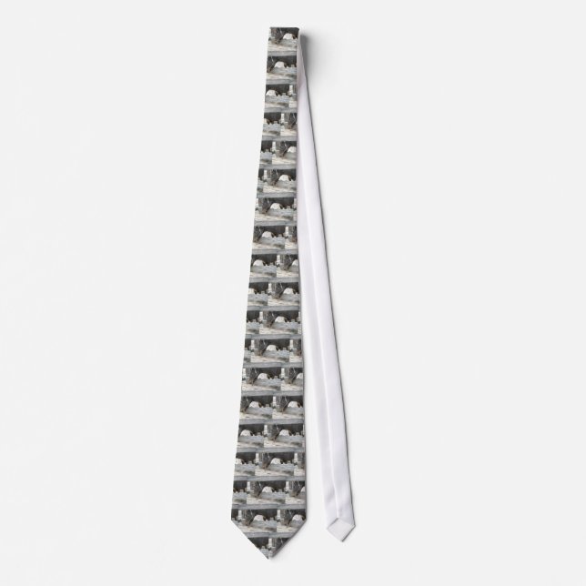 Barn Horse Humor Tie (Front)