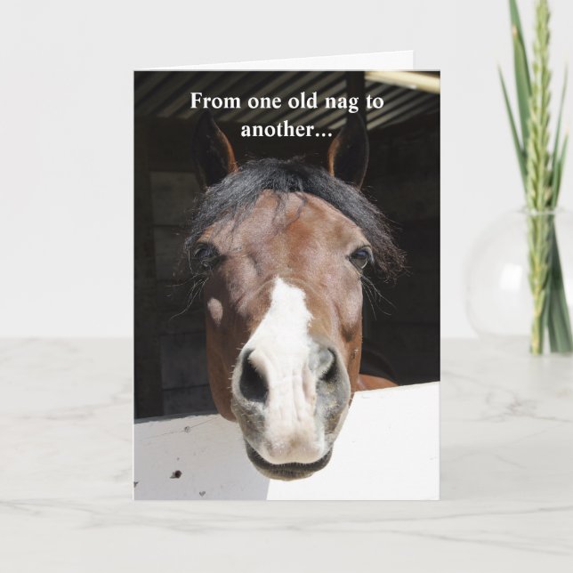 Barn Horse, old nag, happy birthday card (Front)