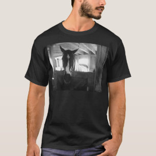 Barn Horse T-Shirt
