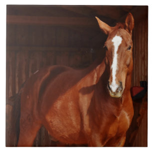 barn horse tile
