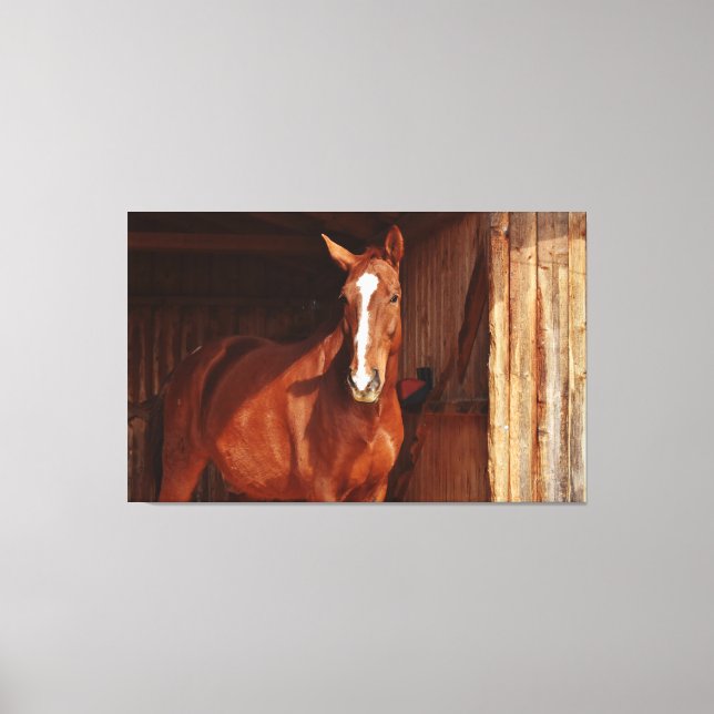 barn horse wrapped canvas (Front)