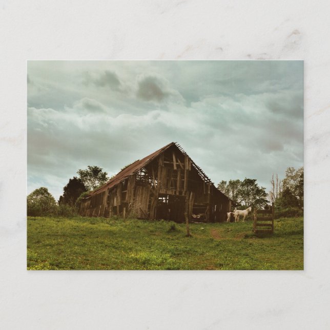 Barn in the Morning Postcard (Front)