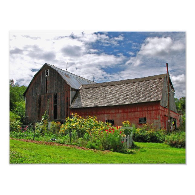 Barn on Sunny Summer Day Photo Print (Front)